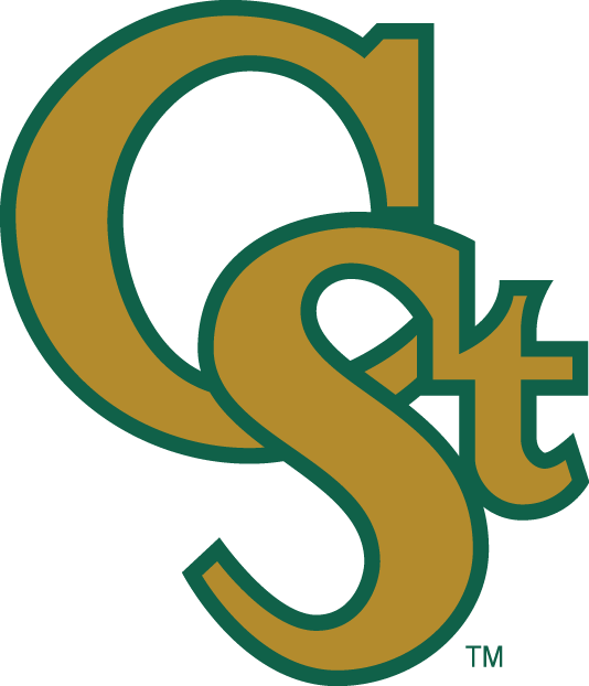 Colorado State Rams 1993-2015 Secondary Logo diy iron on heat transfer
